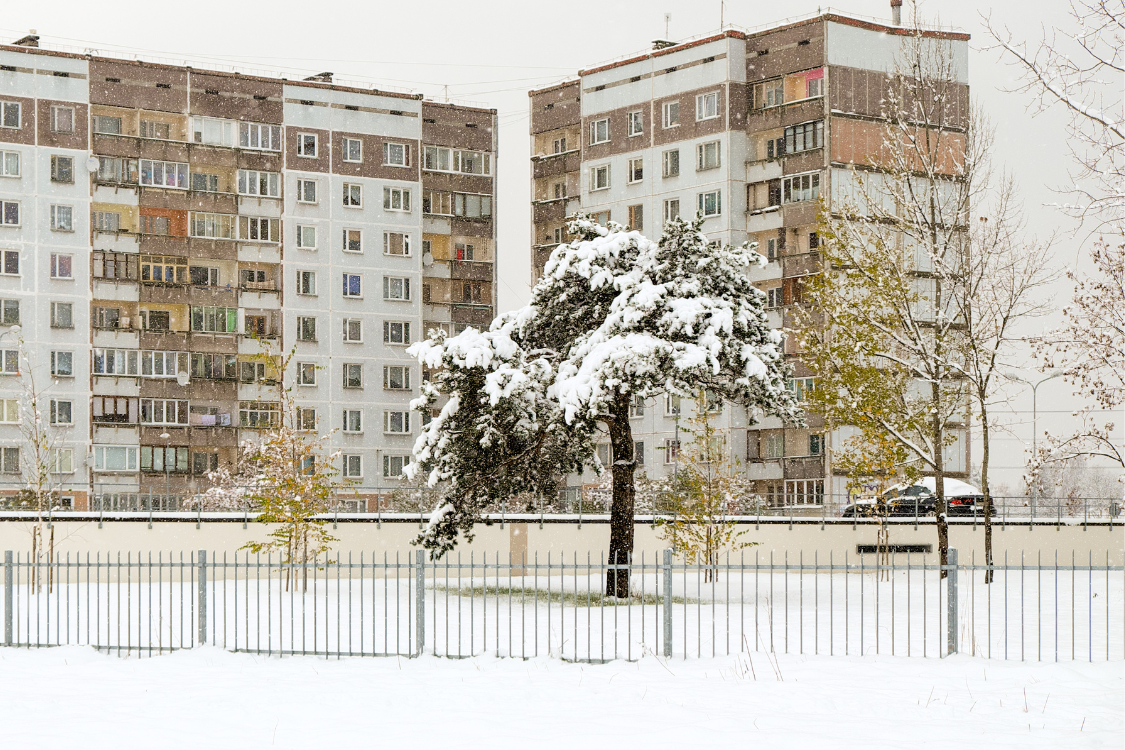 Kā pasargāt mājoklis sala laikā - Manas MĀJAS ieteikumi
